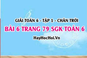 Giải bài 6 trang 79 Toán 6 Tập 1 SGK Chân trời sáng tạo
